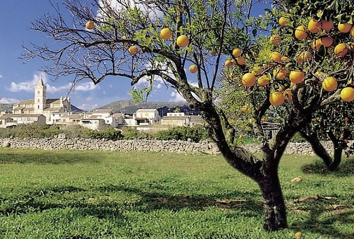 Rundfahrt Mallorca