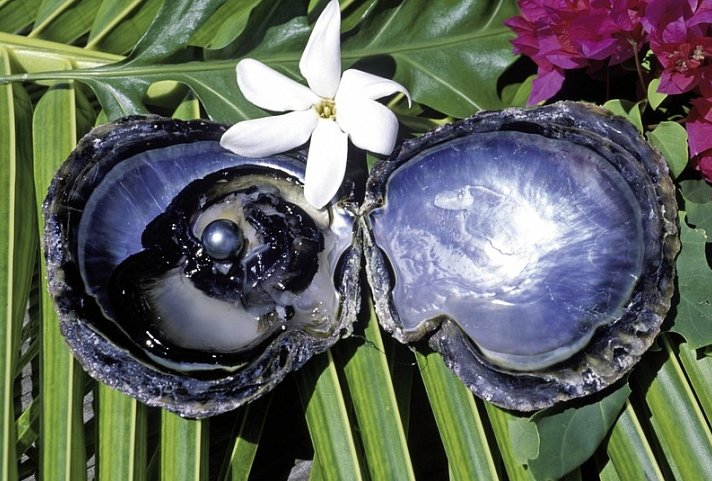 Französisch Polynesien von seiner schönsten Seite