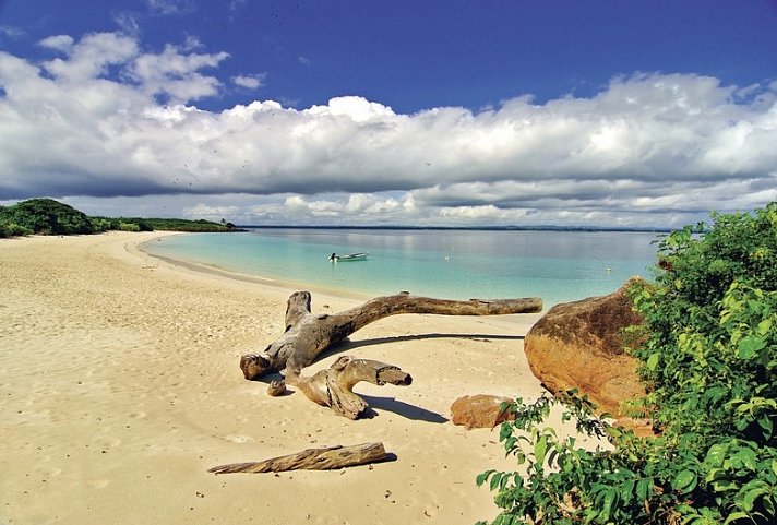 Panama auf eigene Faust - Abgabe in David und Rückflug nach Panama City