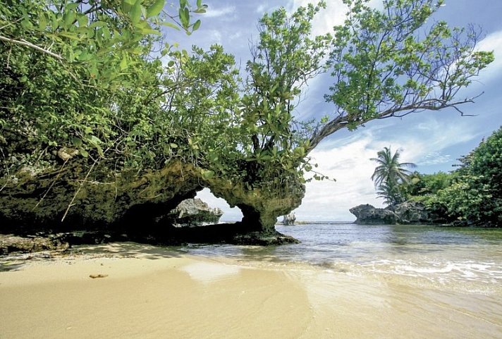 Panama auf eigene Faust - Abgabe in David und Rückflug nach Panama City