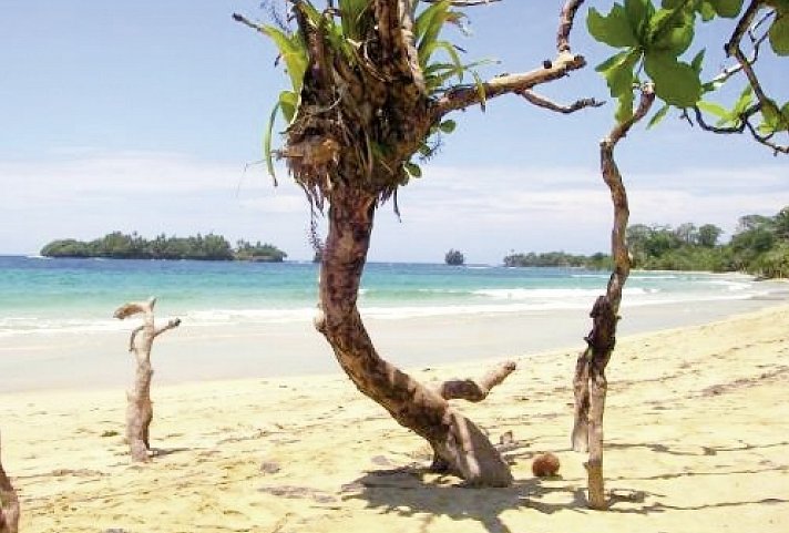 Panama auf eigene Faust - Abgabe in David und Rückflug nach Panama City