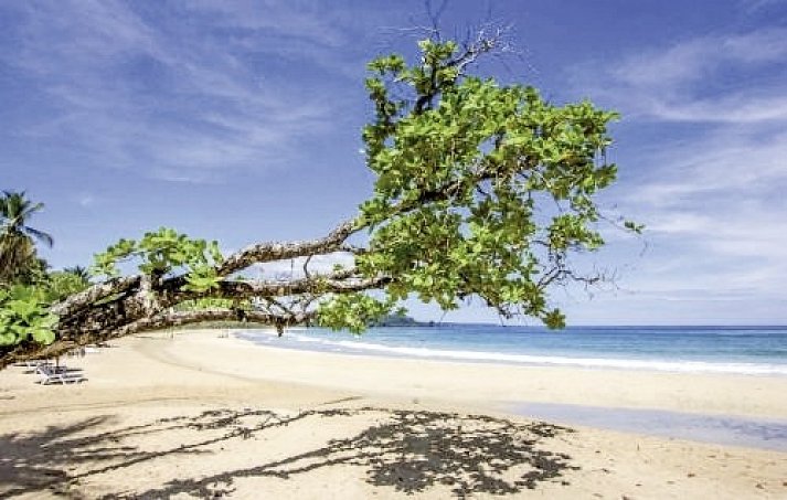 Panama auf eigene Faust - Abgabe in David und Rückflug nach Panama City