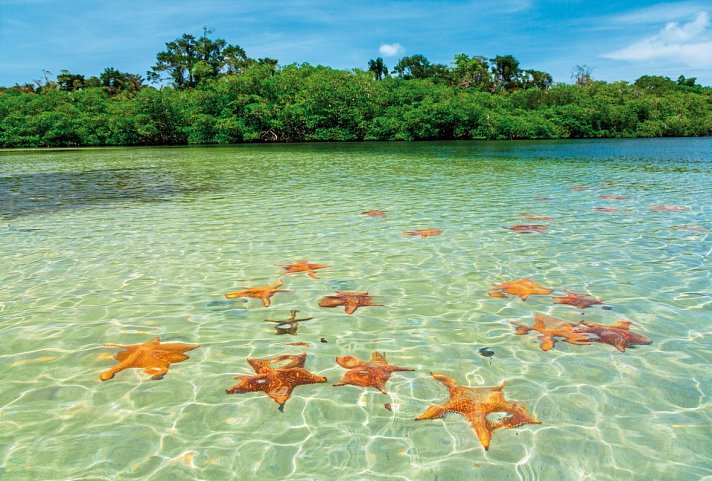 Panama auf eigene Faust inkl. Anschluss Bocas del Toro