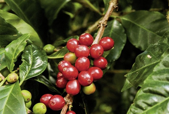 Panama auf eigene Faust inkl. Anschluss Bocas del Toro