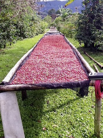 Panama auf eigene Faust inkl. Anschluss Bocas del Toro