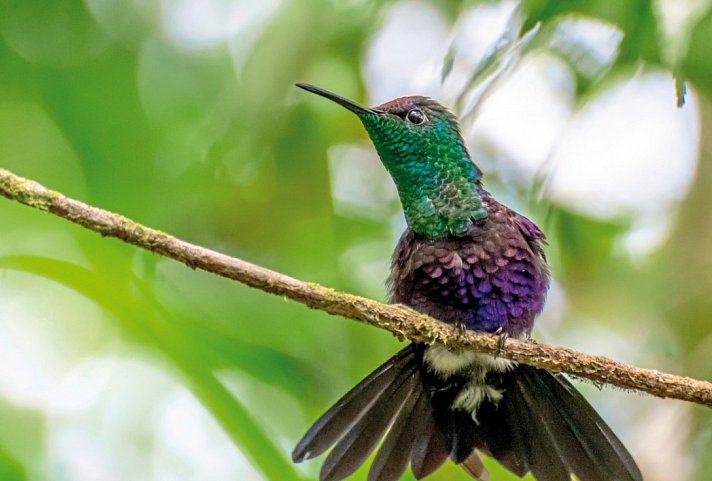 Panama auf eigene Faust inkl. Anschluss Bocas del Toro