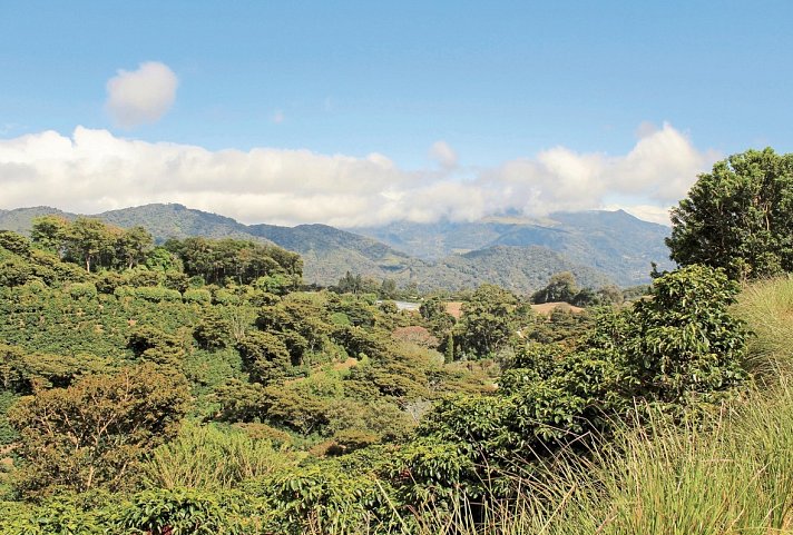 Panama: Stadt, Land, Strand