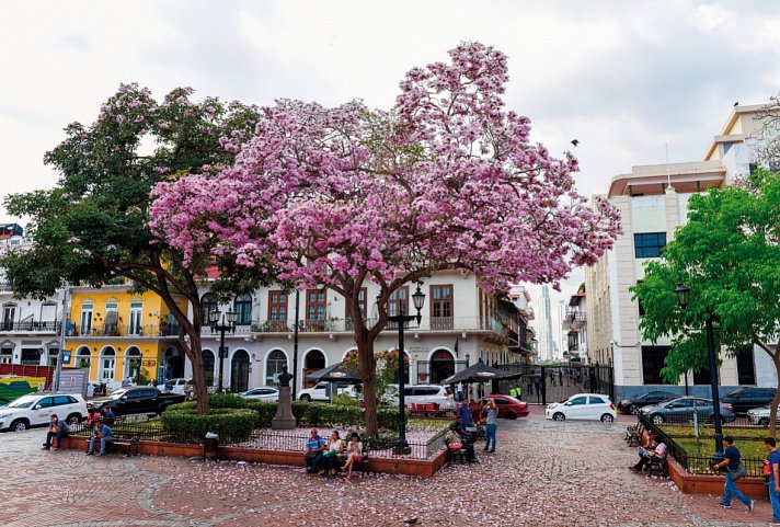 Panama: Stadt, Land, Strand