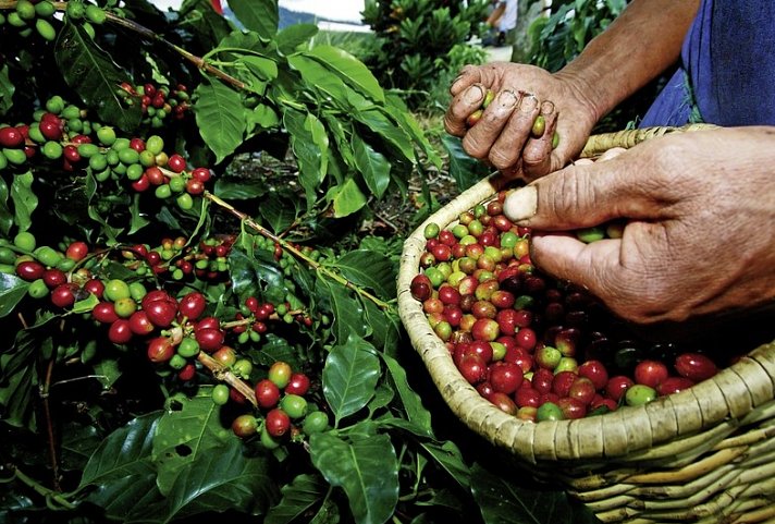 Panama & Kolumbien: Ein Traum von Vielfalt