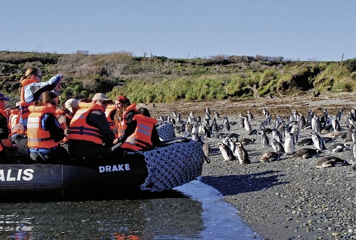 Traumlandschaften am Ende der Welt: Ventus Australis ab Punta Arenas