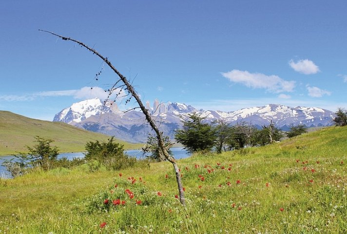 Torres del Paine - wilde Schönheit