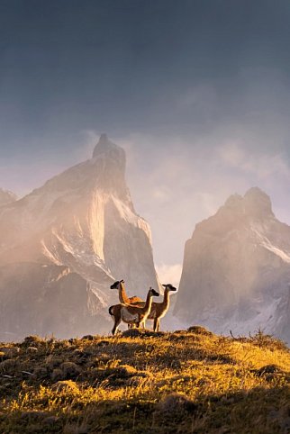 Torres del Paine - wilde Schönheit