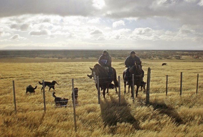 Patagonien individuell entdecken