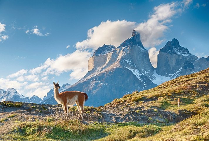Patagonien individuell entdecken