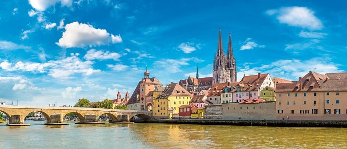 Die junge Donau