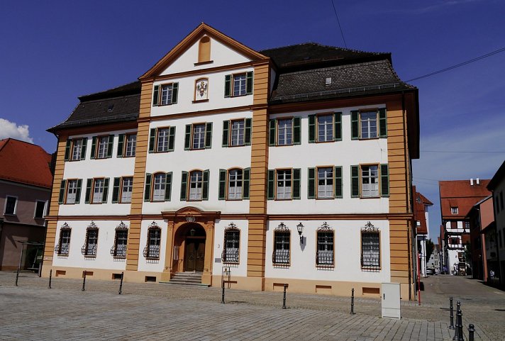 Die junge Donau