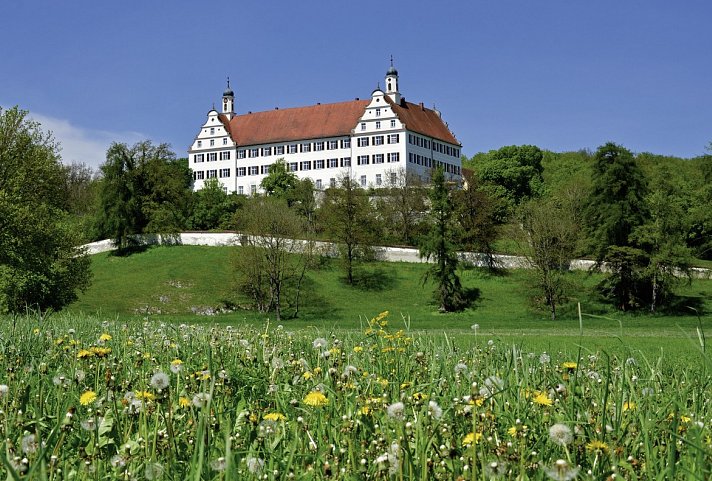 Die junge Donau