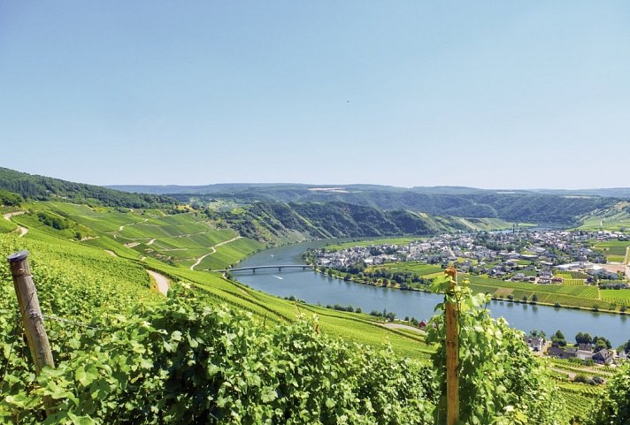 Mosel-Radweg - Der Klassiker