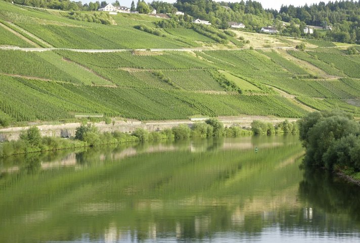 Mosel-Radweg - Der Klassiker