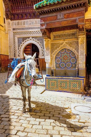 Marokko - Indigo
