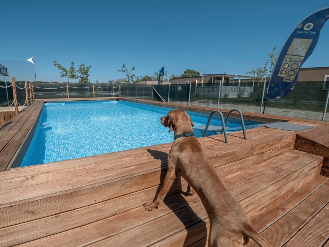 Sentido Riccione Premium Camp