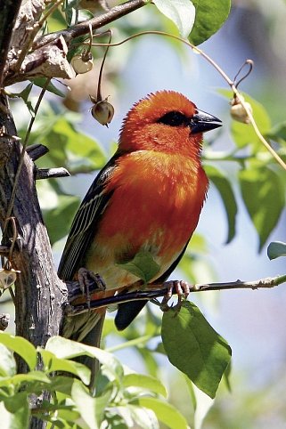 La Réunion hautnah