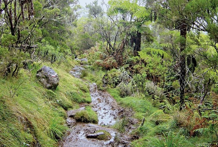 La Réunion hautnah