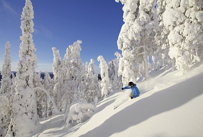 Winterspaß in Finnisch Lappland