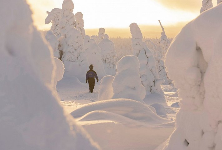 Winterspaß in Finnisch Lappland