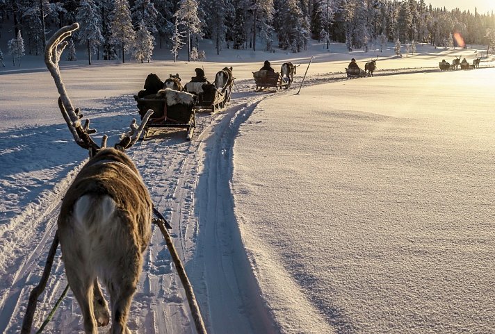 Winterspaß in Finnisch Lappland Premium