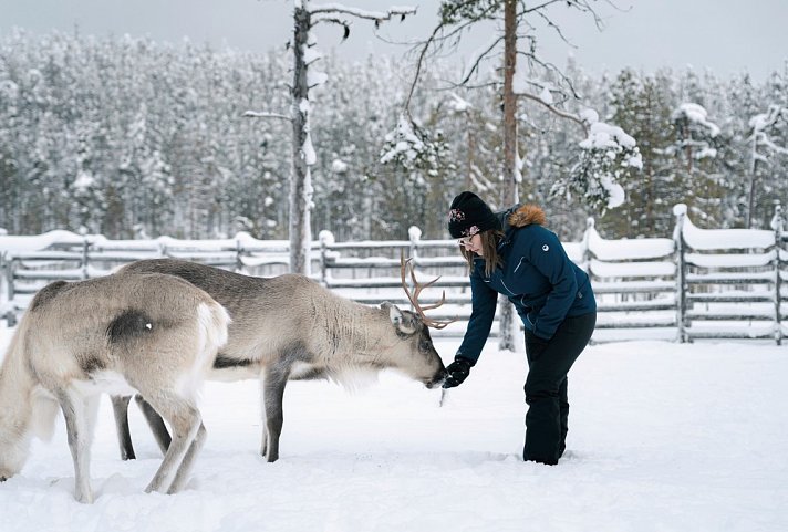 Winterspaß in Finnisch Lappland Premium