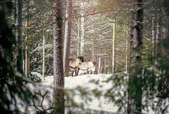 Winter-Auszeit im Sunday Morning Resort