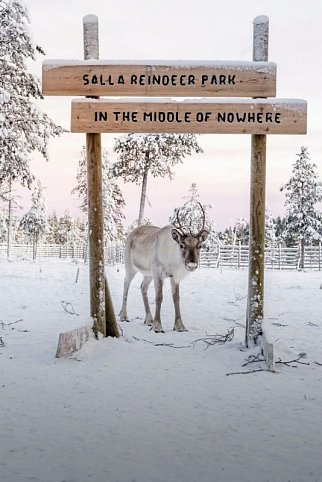 Winter-Faszination Finnland