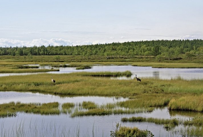 Die Weiten Finnisch Lapplands