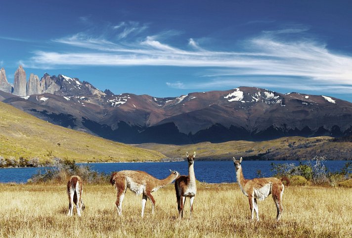 Glanzlichter Patagoniens