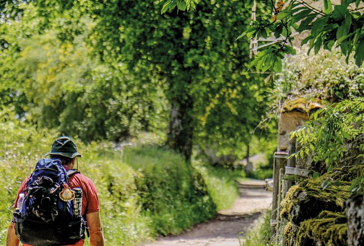 Wandern auf dem Jakobsweg - Die französische Route intensiv