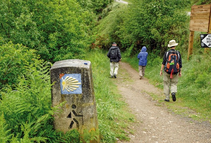 Wandern auf dem Jakobsweg - Die französische Route intensiv