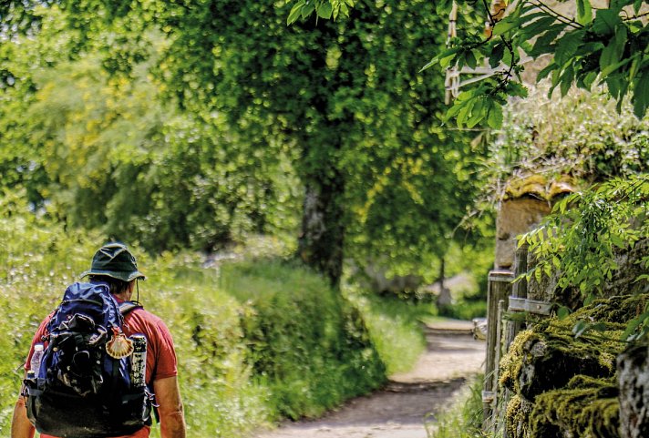 Wandern auf dem Jakobsweg - Die französische Route