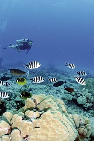Segeltörn durchs Paradies - S.V. Sea Pearl (8 Tage/7 Nächte, ab/bis Mahé)