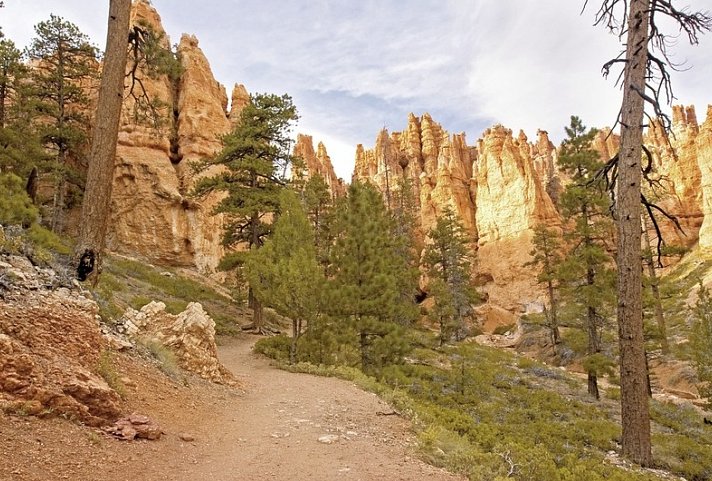 Nationalparks des Westens erwandern (ab San Francisco)