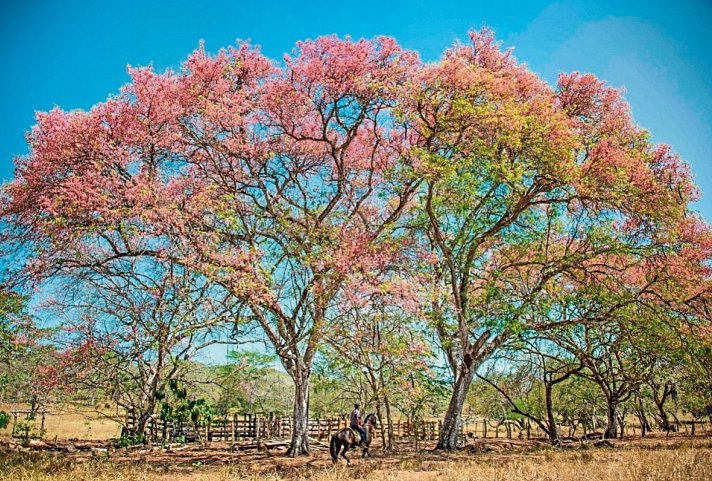 Unentdecktes Costa Rica