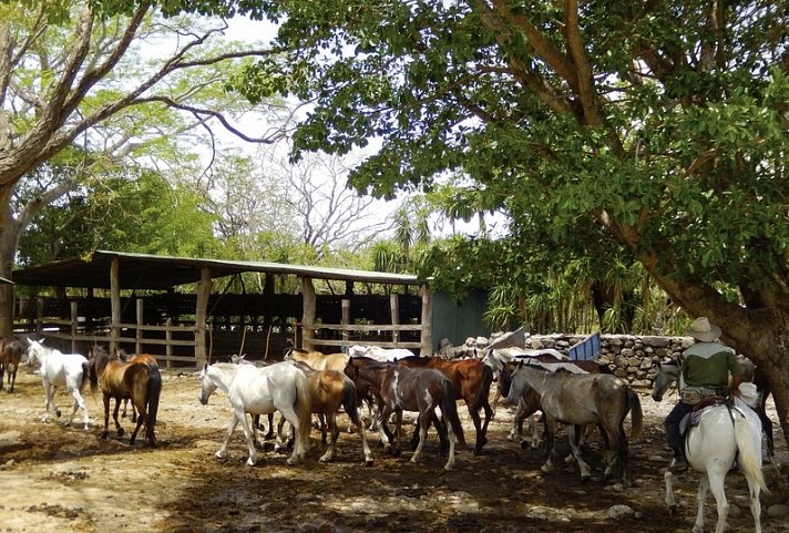 Nationalpark Rincón de le Vieja