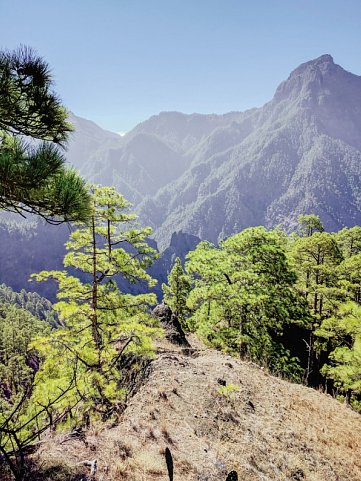 La Palma in style - Kolonialflair und kulinarische Highlights