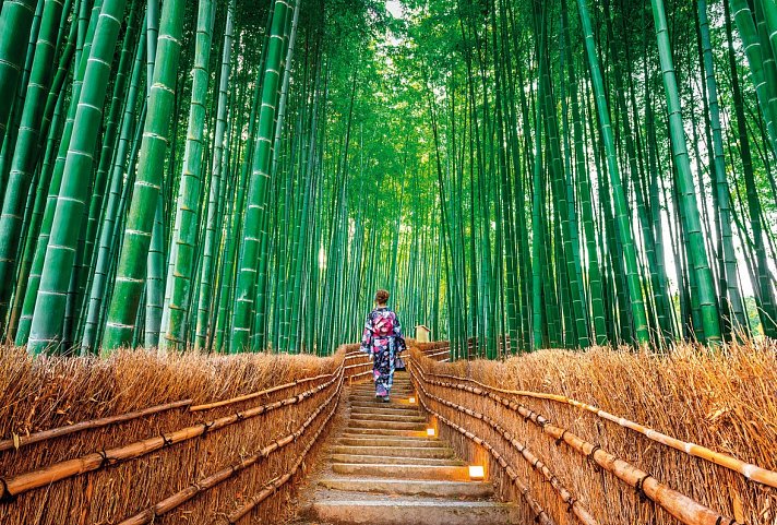 Japans Natur und Kultur (nur Landprogramm)