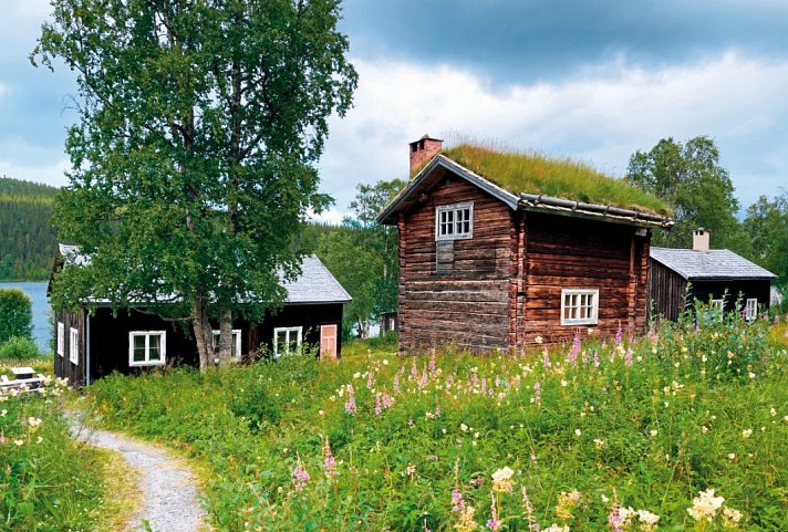 Natur pur – Nordschwedens Traumstraßen