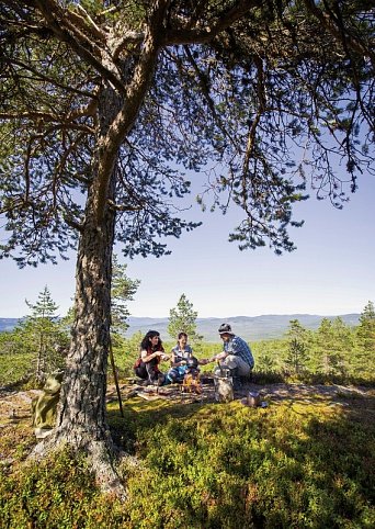 Schweden step by step - Das Herz Schwedens