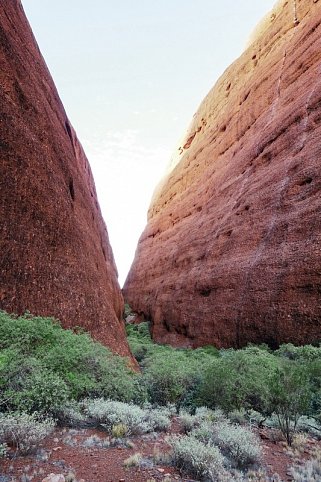 Australien zum Kennenlernen (ab Sydney/bis Perth)