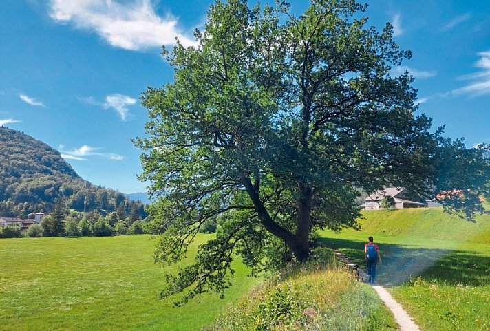 Genusswandern Salzkammergut