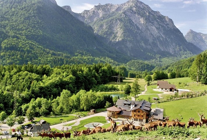 Genusswandern Salzkammergut