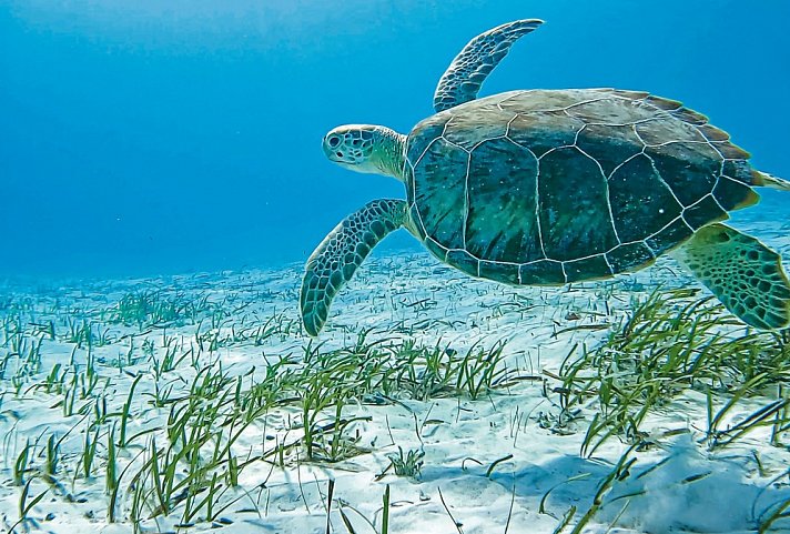 Inselparadiese der Bahamas